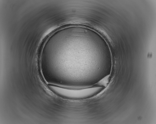 X0000096941114200802221313