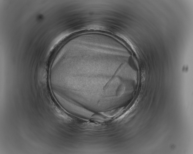 X0000096941115200802221313