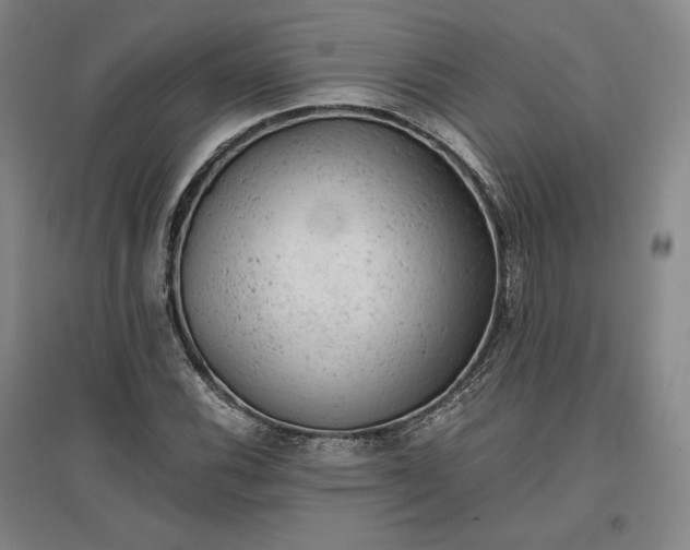 X0000096941116200802221314