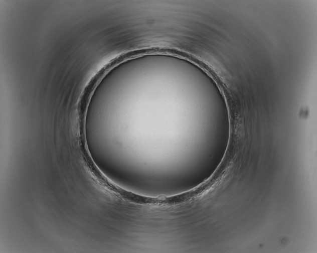 X0000096941118200802221314