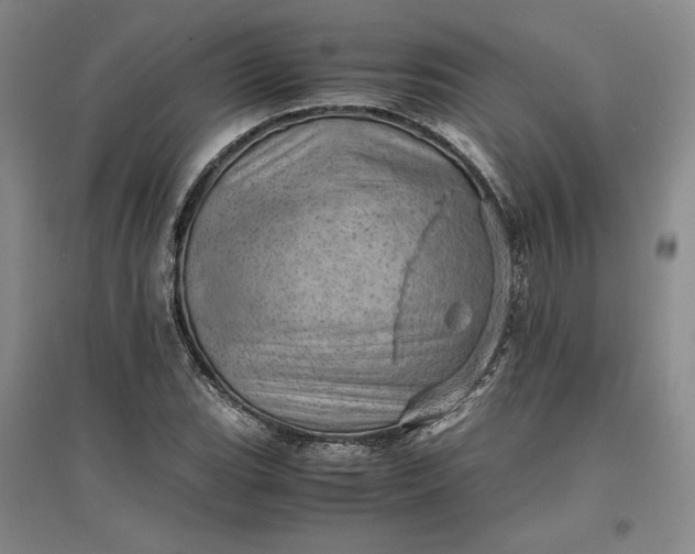 X0000096941119200802221314