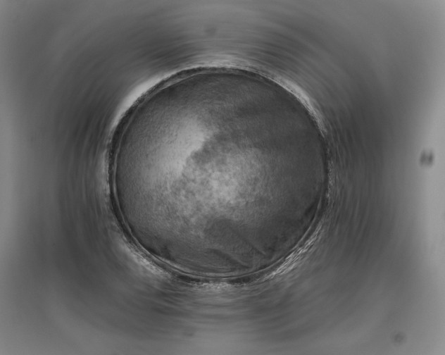 X0000096941120200802221314