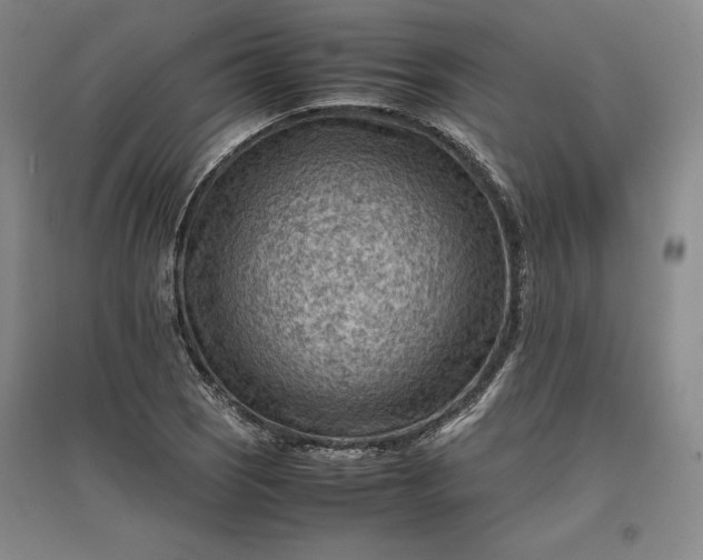 X0000096941121200802221314