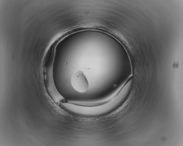 X0000096941122200802221314