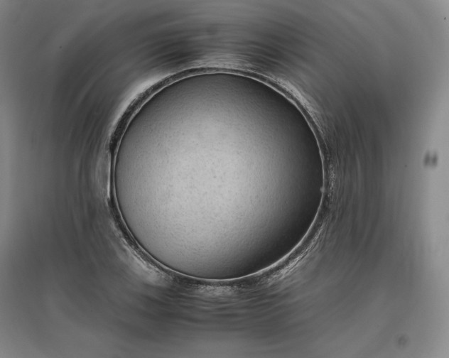 X0000096941123200802221314