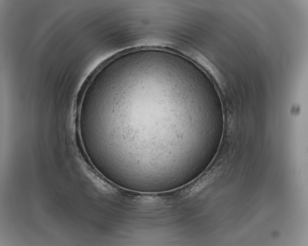 X0000096941124200802221314