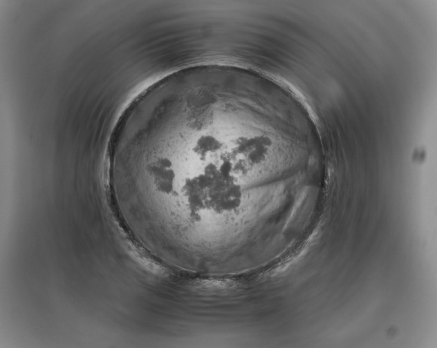 X0000096941125200802221314