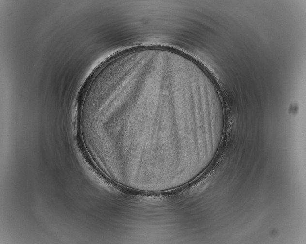 X0000096941126200802221314