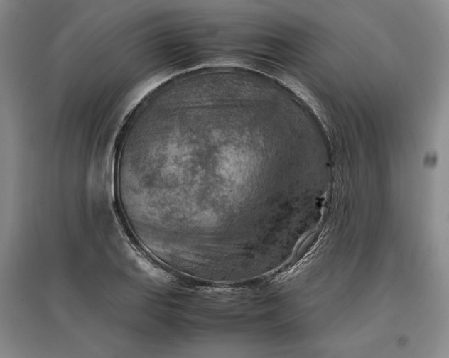 X0000096941127200802221314