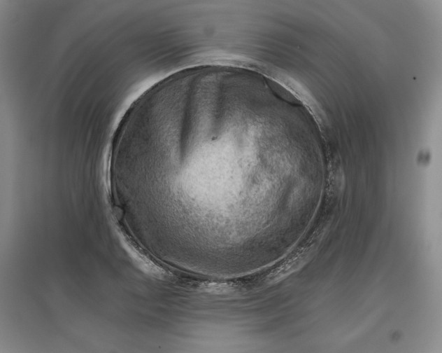 X0000096941128200802221314