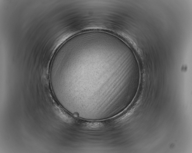 X0000096941129200802221314