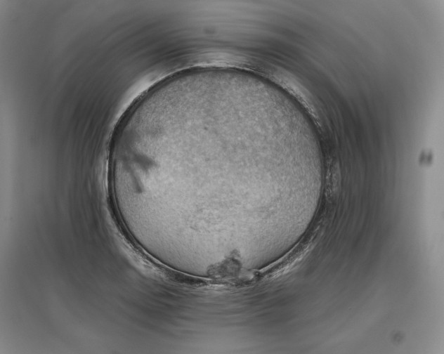 X0000096941130200802221314