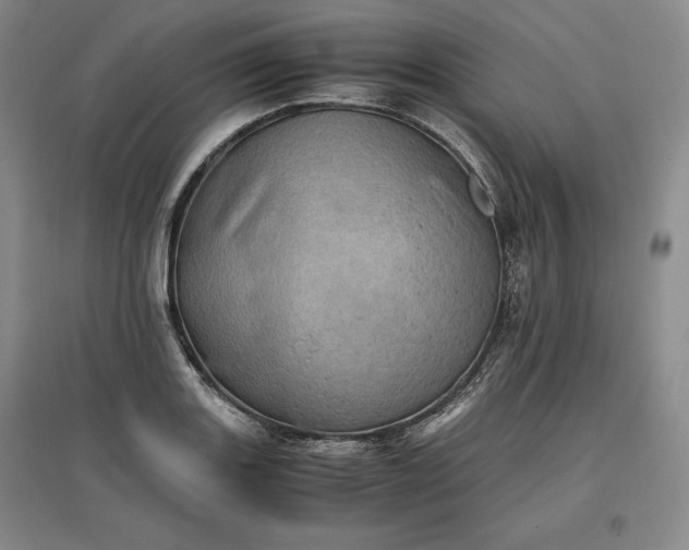 X0000096941131200802221314