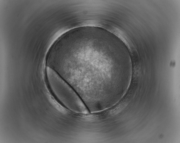 X0000096941132200802221314