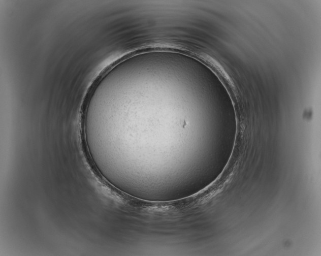 X0000096941133200802221314