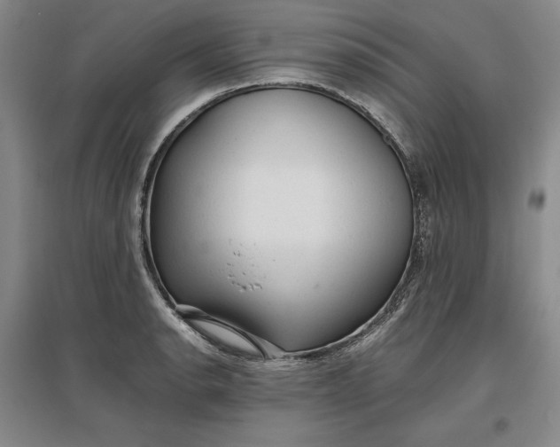 X0000096941134200802221314