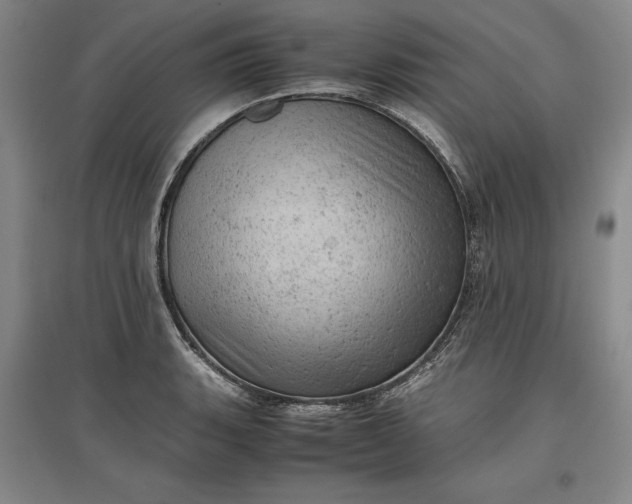 X0000096941135200802221314