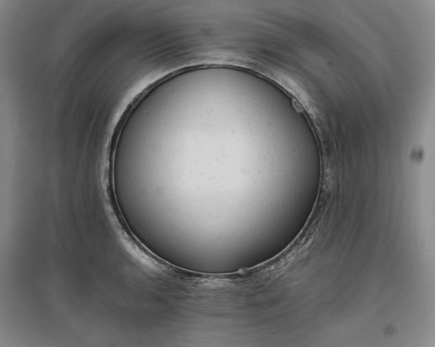 X0000096941136200802221314