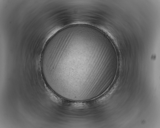 X0000096941137200802221314