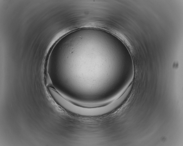 X0000096941138200802221314