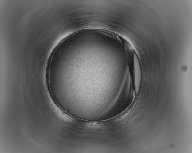 X0000096941139200802221314