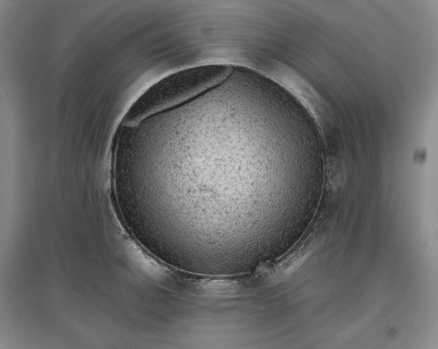 X0000096941140200802221314