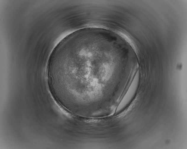 X0000096941141200802221314