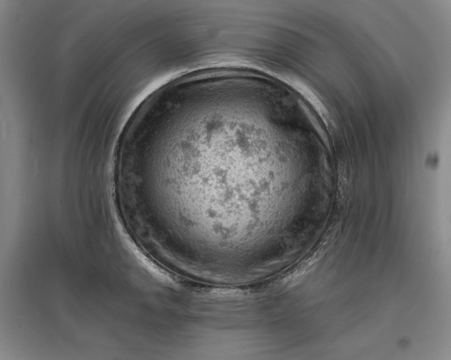 X0000096941142200802221314