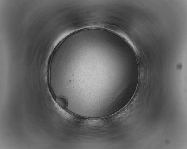 X0000096941143200802221314