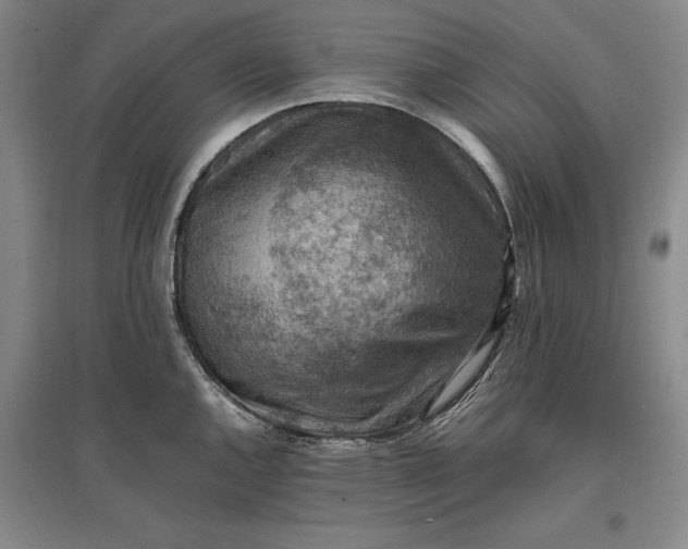 X0000096941144200802221314