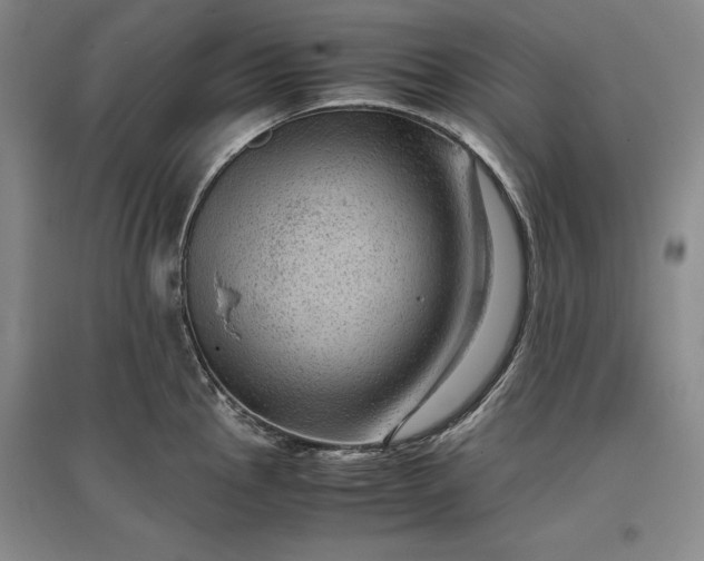 X0000096941145200802221314