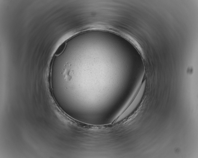 X0000096941146200802221314