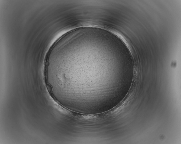 X0000096941147200802221314