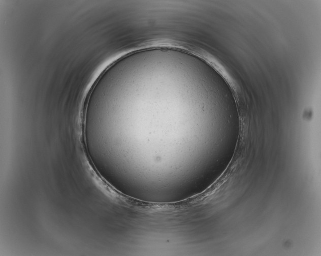 X0000096941148200802221314