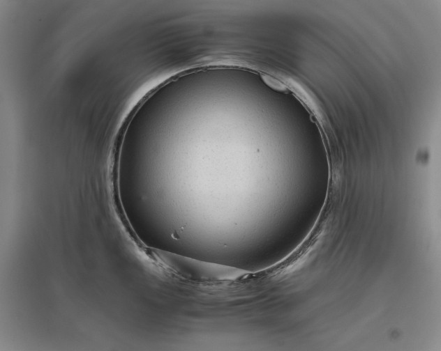 X0000096941149200802221314