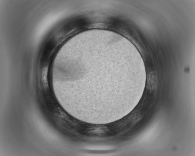 X0000096941150200802221314