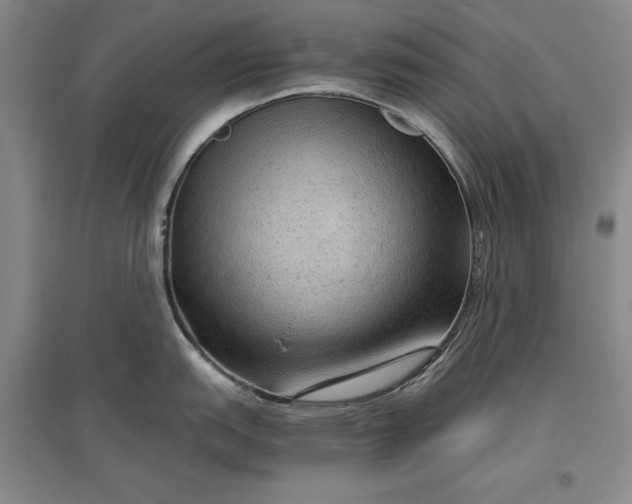 X0000096941151200802221314