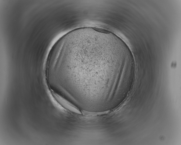 X0000096941152200802221314