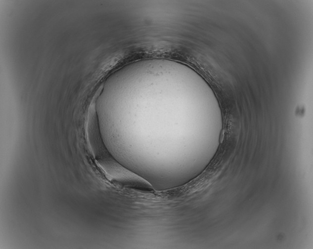 X0000096941153200802221313