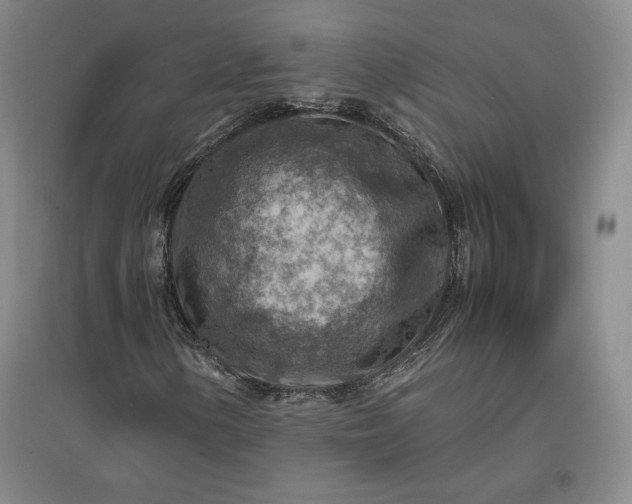 X0000096941154200802221313