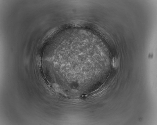 X0000096941155200802221313