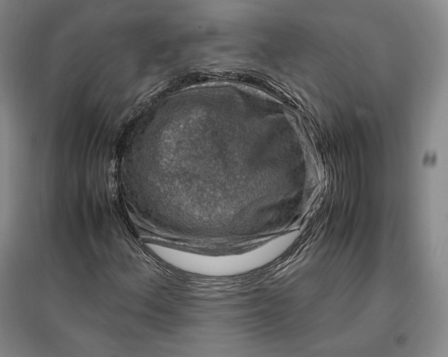 X0000096941156200802221313