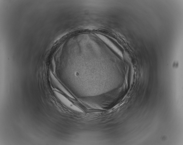 X0000096941158200802221313