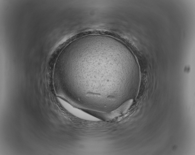 X0000096941159200802221313