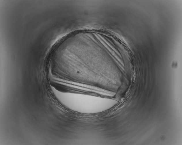 X0000096941160200802221313