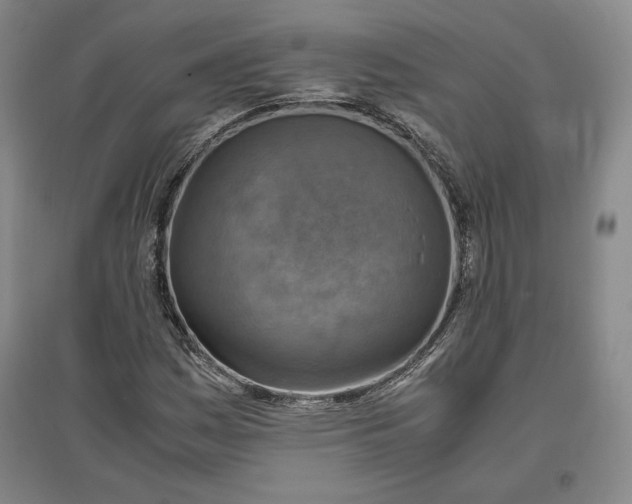 X0000096941161200802221313