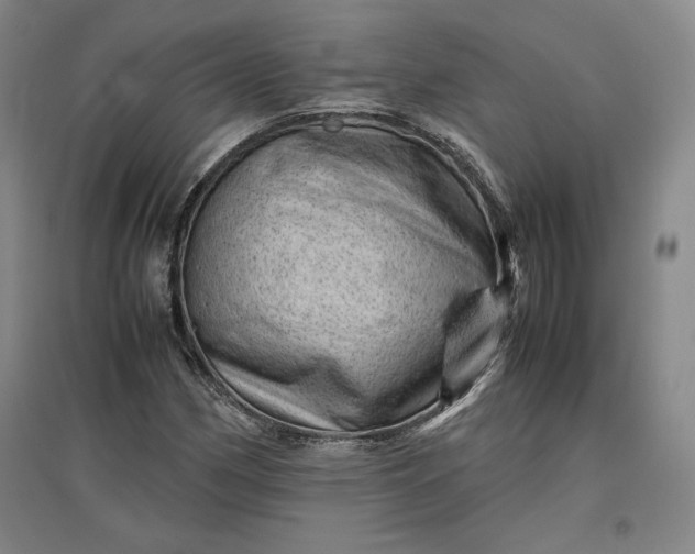 X0000096941162200802221313