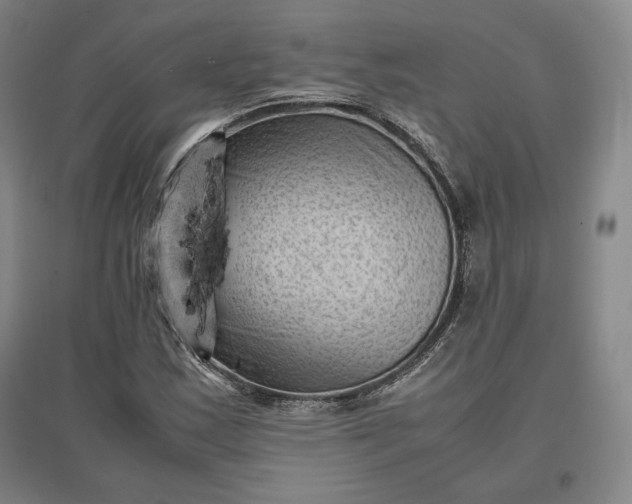 X0000096941163200802221313