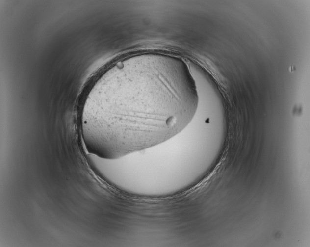 X0000096941164200802221313