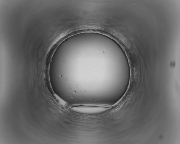 X0000096941165200802221313